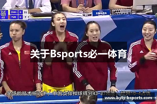 关于Bsports必一体育